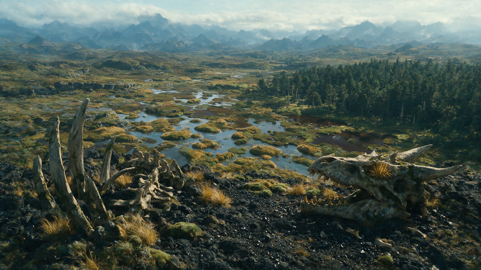 Wide wetlands beneath distant mountains