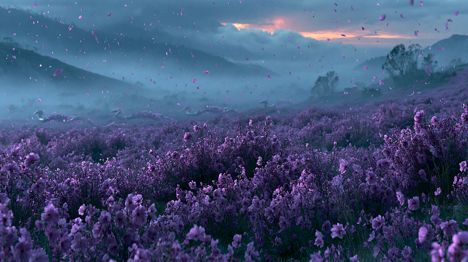 Purple flower field beneath a stormy sky